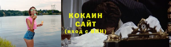 прущие грибы Алексин